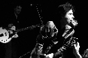 tav-falco-05042013-293