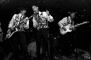 wau-arghs-10232013-121
