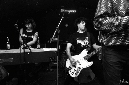 wau-arghs-10242013-176